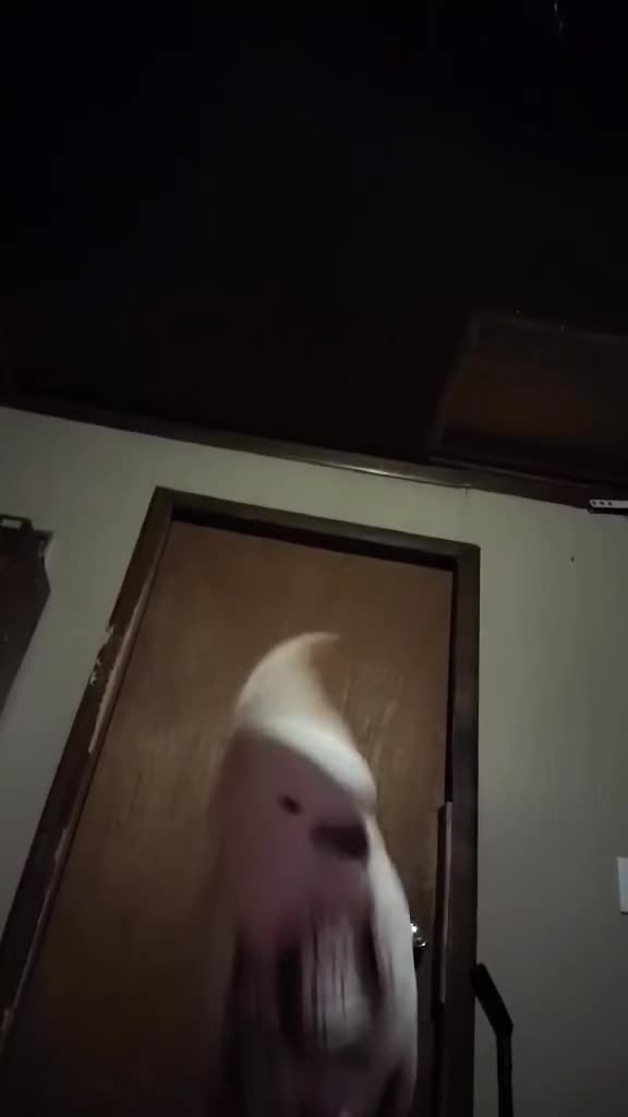 @Suzy the Cockatoo