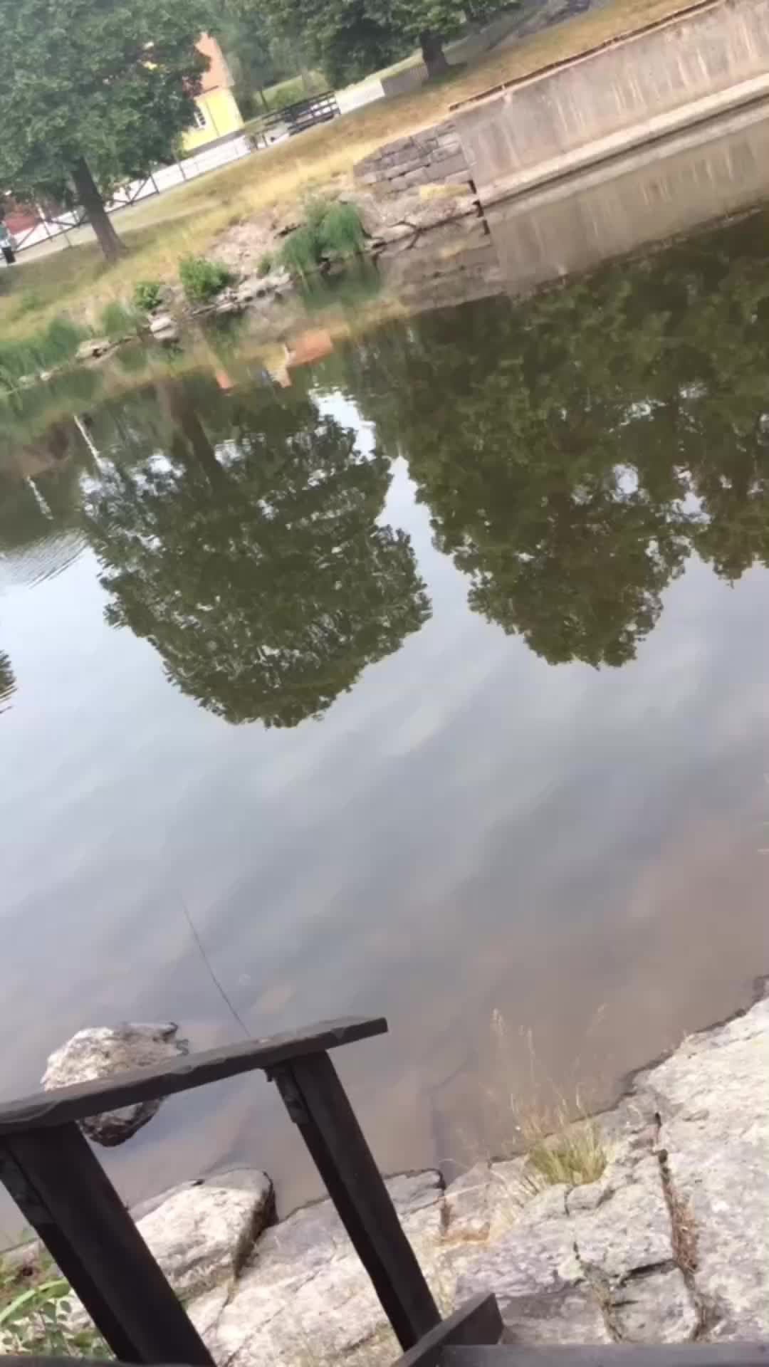 @Robban Söderberg