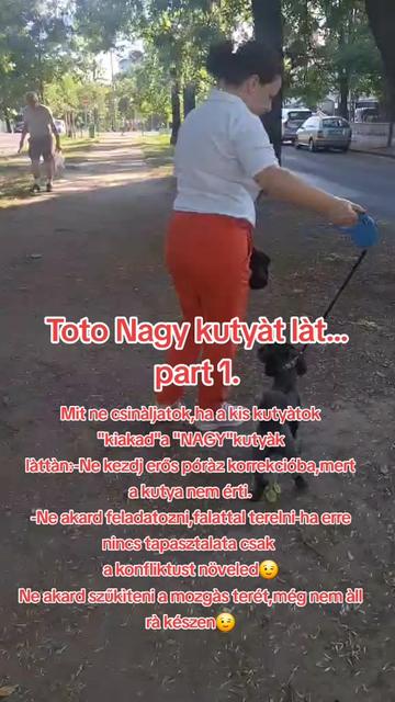 @Viki-Kutyakozmetika Másképp