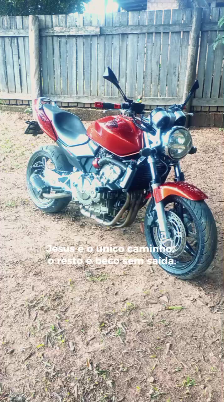 @adrianoGuedes750