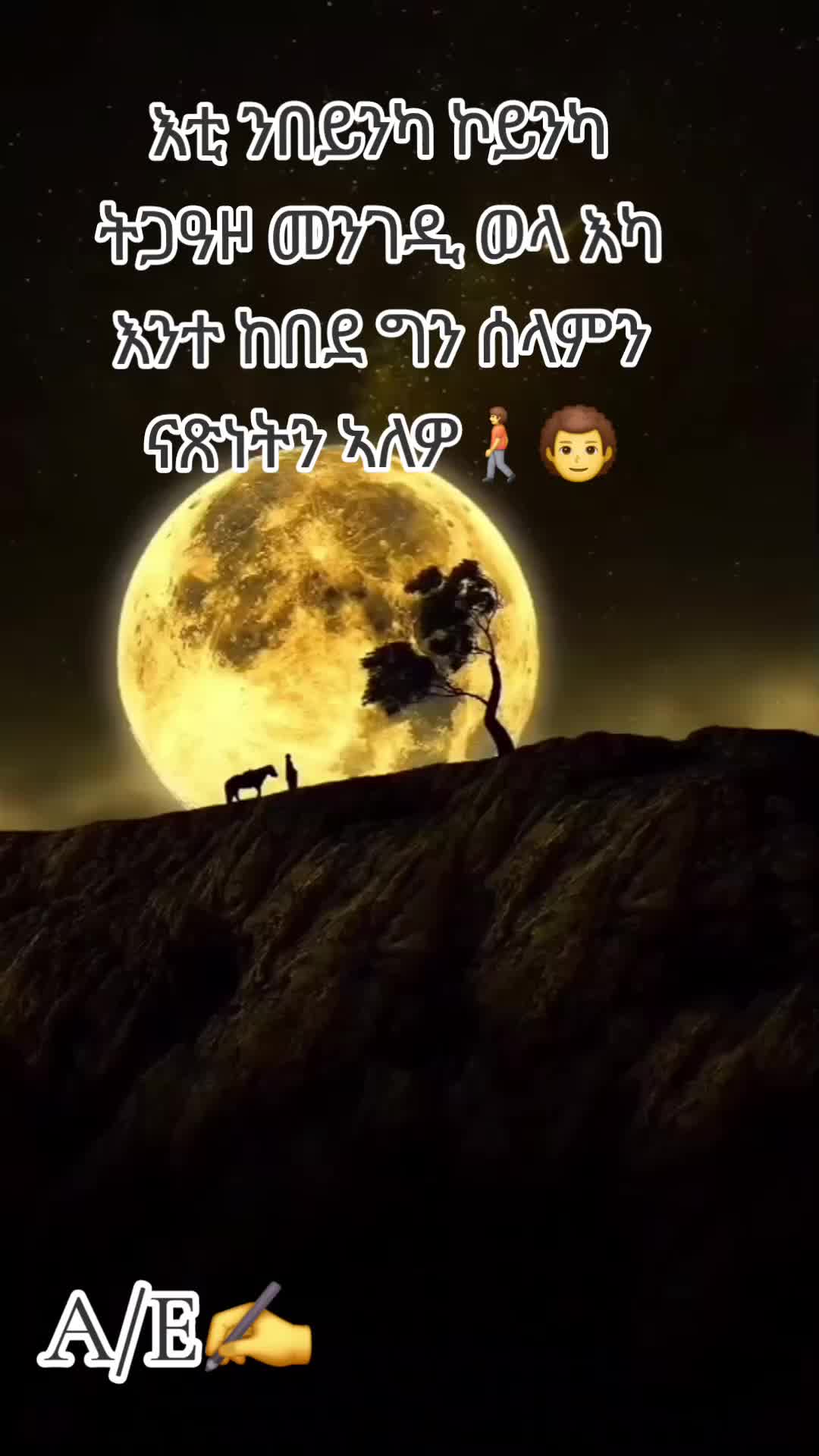 @ኣቢ ሊባናይ🇪🇷🌹🇳🇱♥️💯💒✝️✅