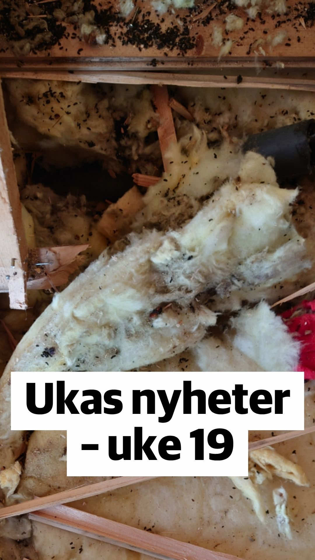 @Tr&oslash;nder-Avisa