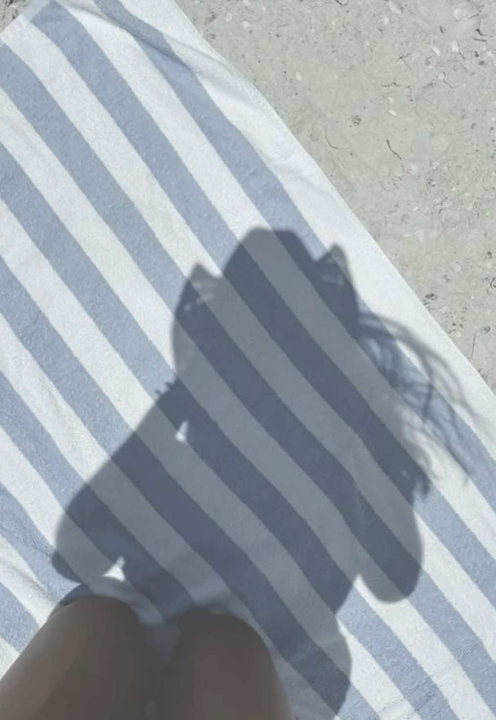 @𖤐⭒๋࣭ мιмкα ⭑