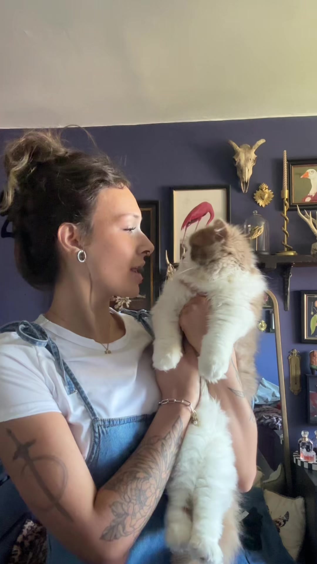 @kitty.catcentral