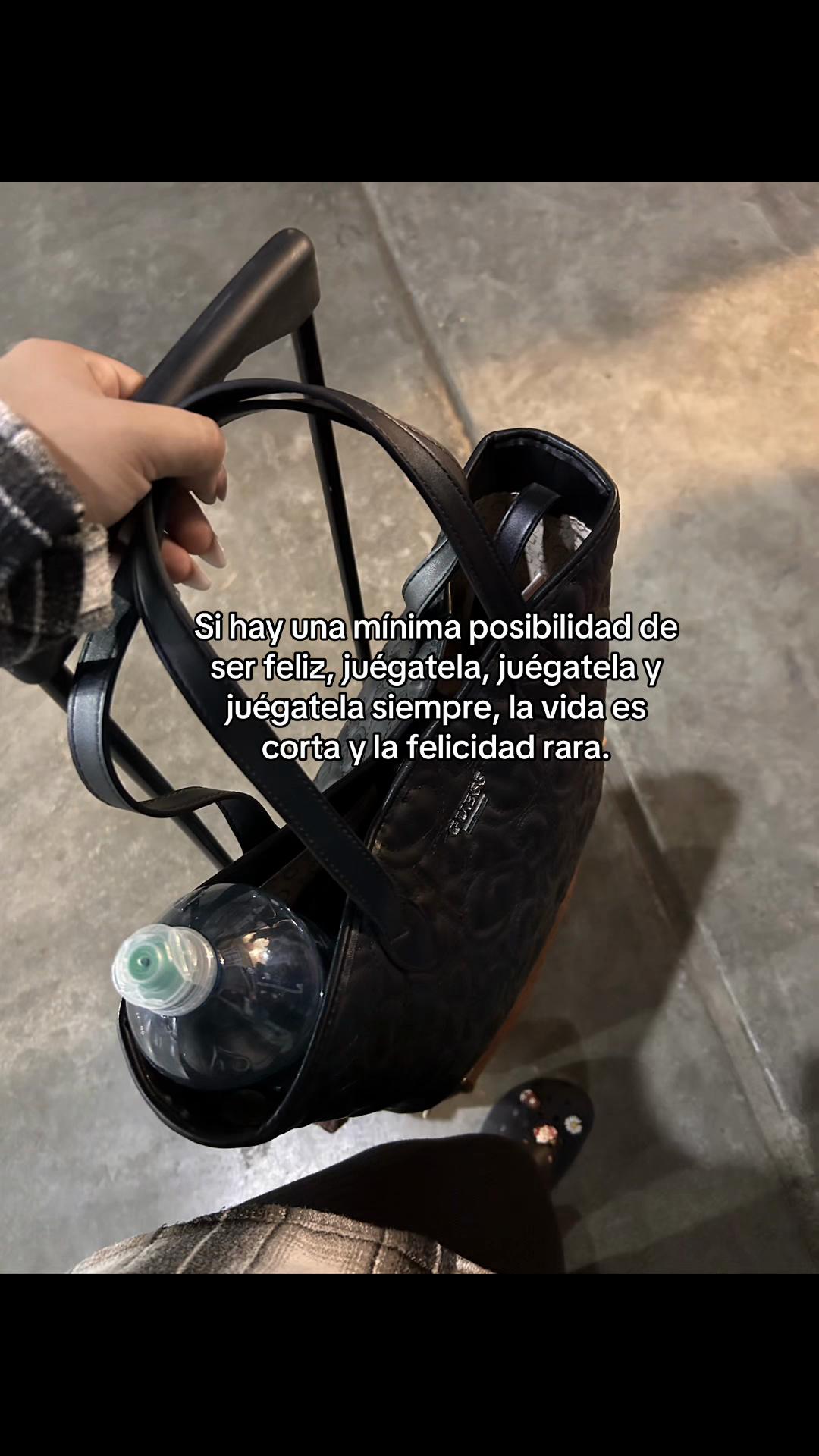 @PilarRomero🐆