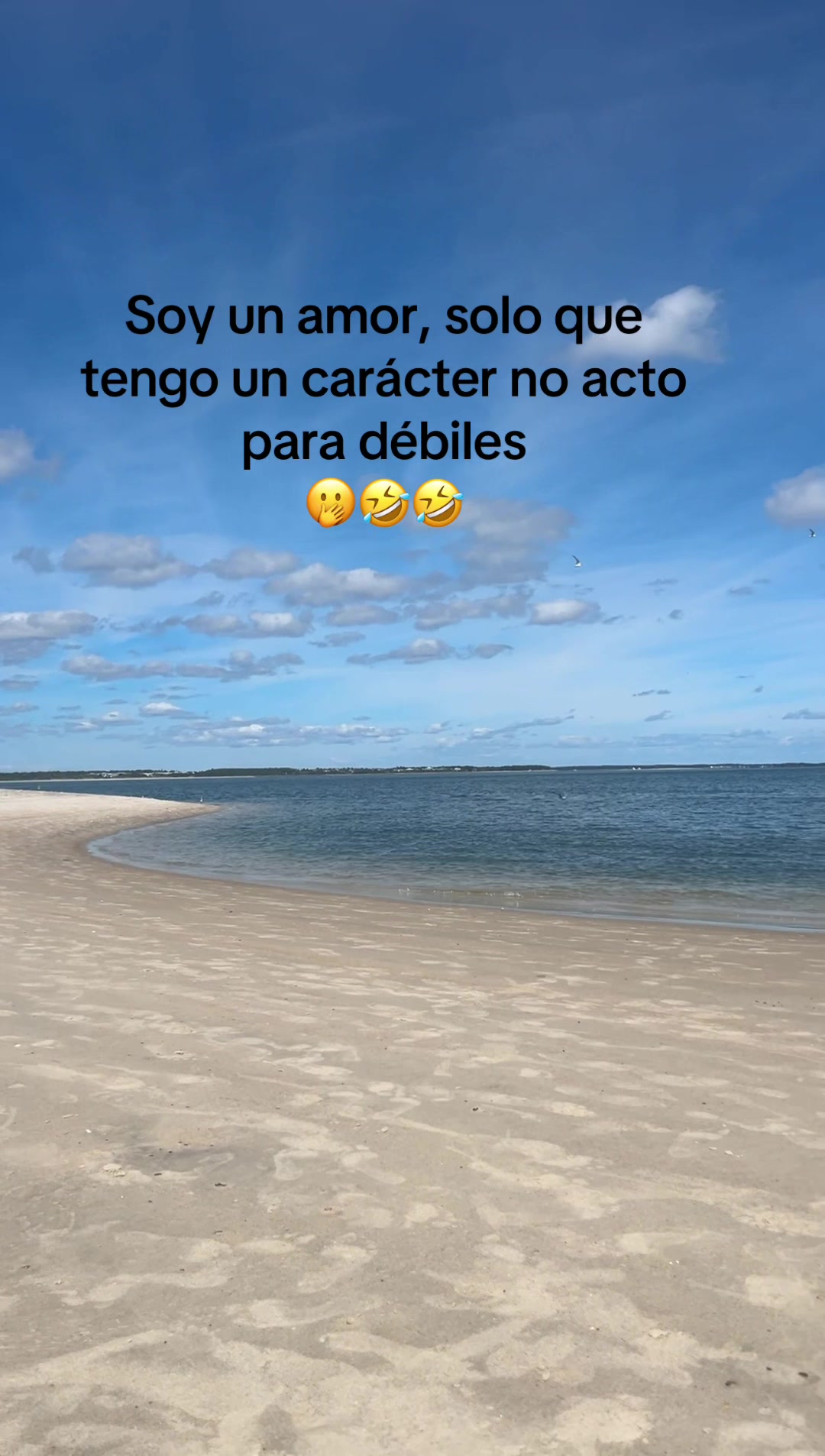 @Teresa Garcia