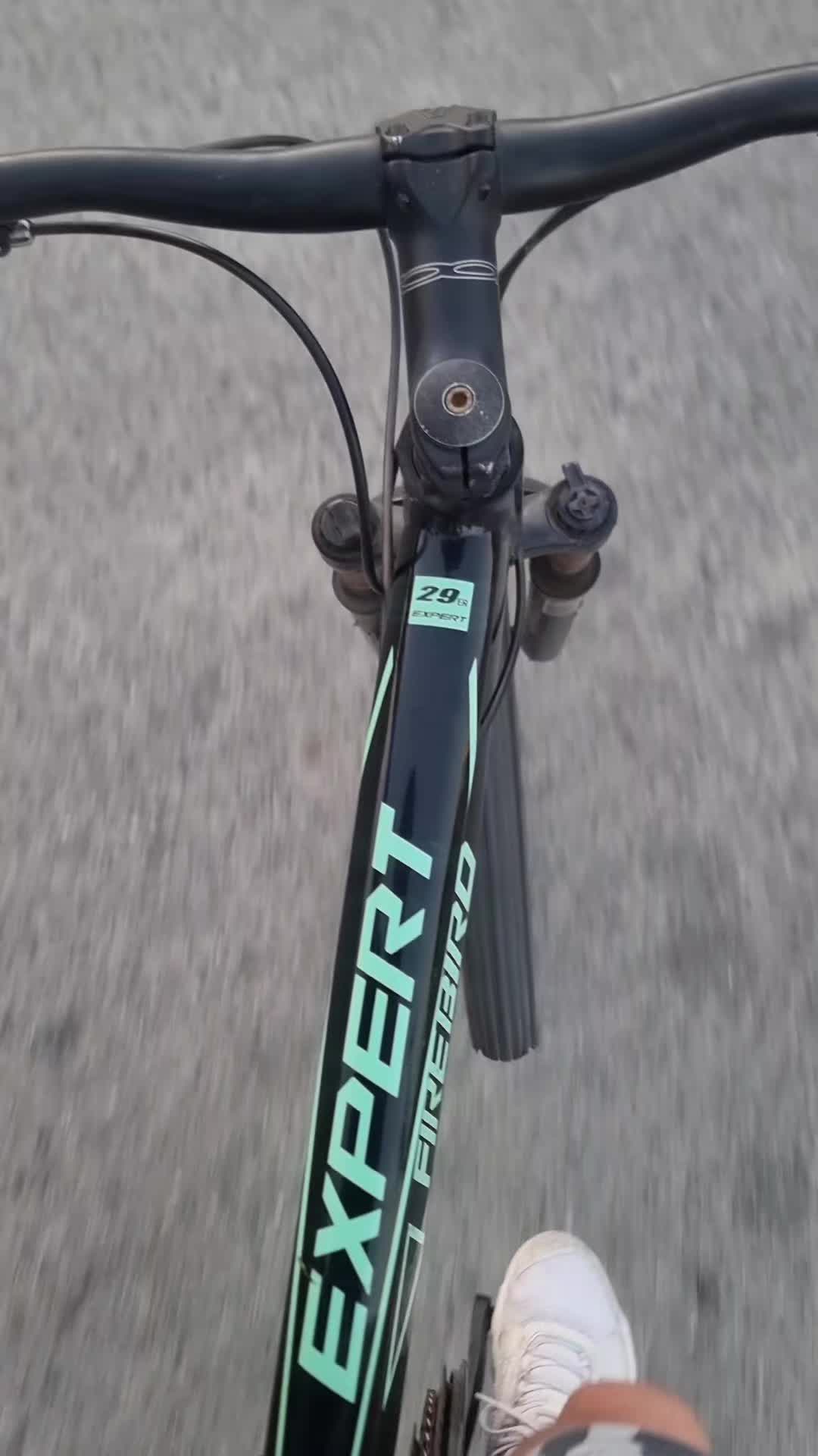@motoresrdr