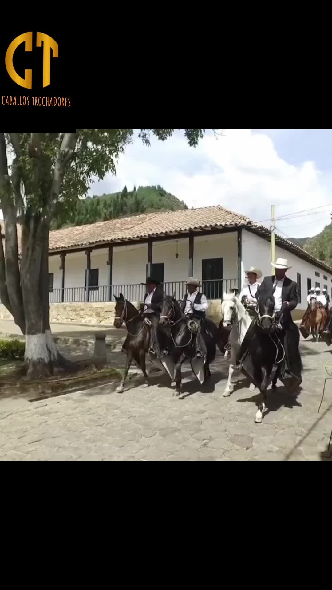 @Caballostrochadores