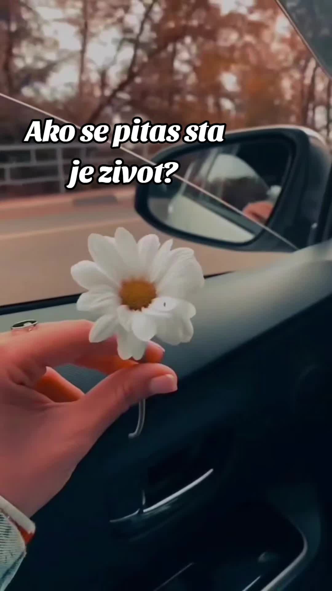 @Vesna