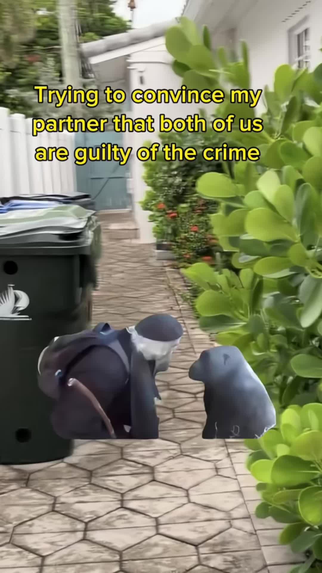 @Canis_200