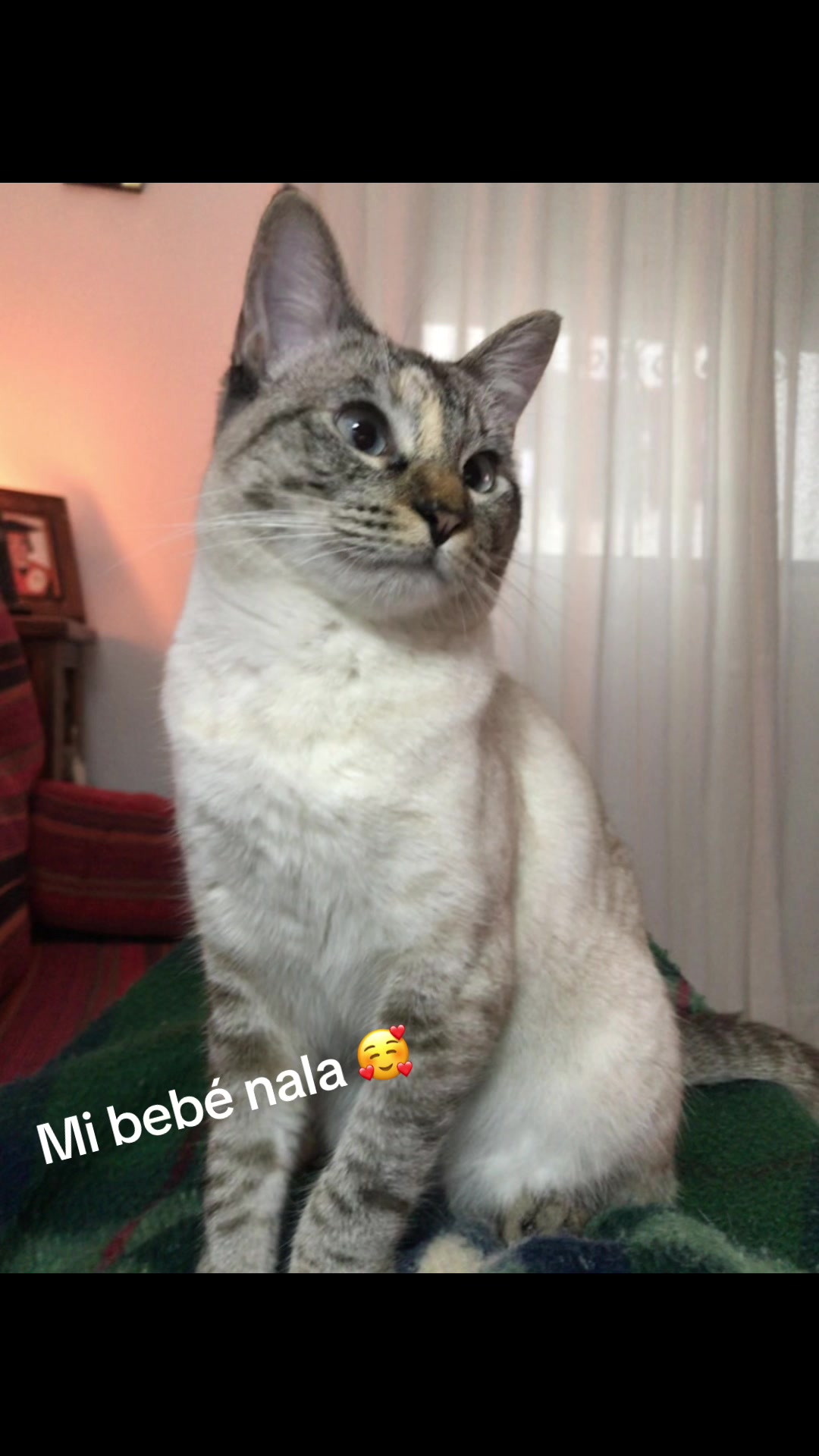 @Leticia Gonzalez Tej
