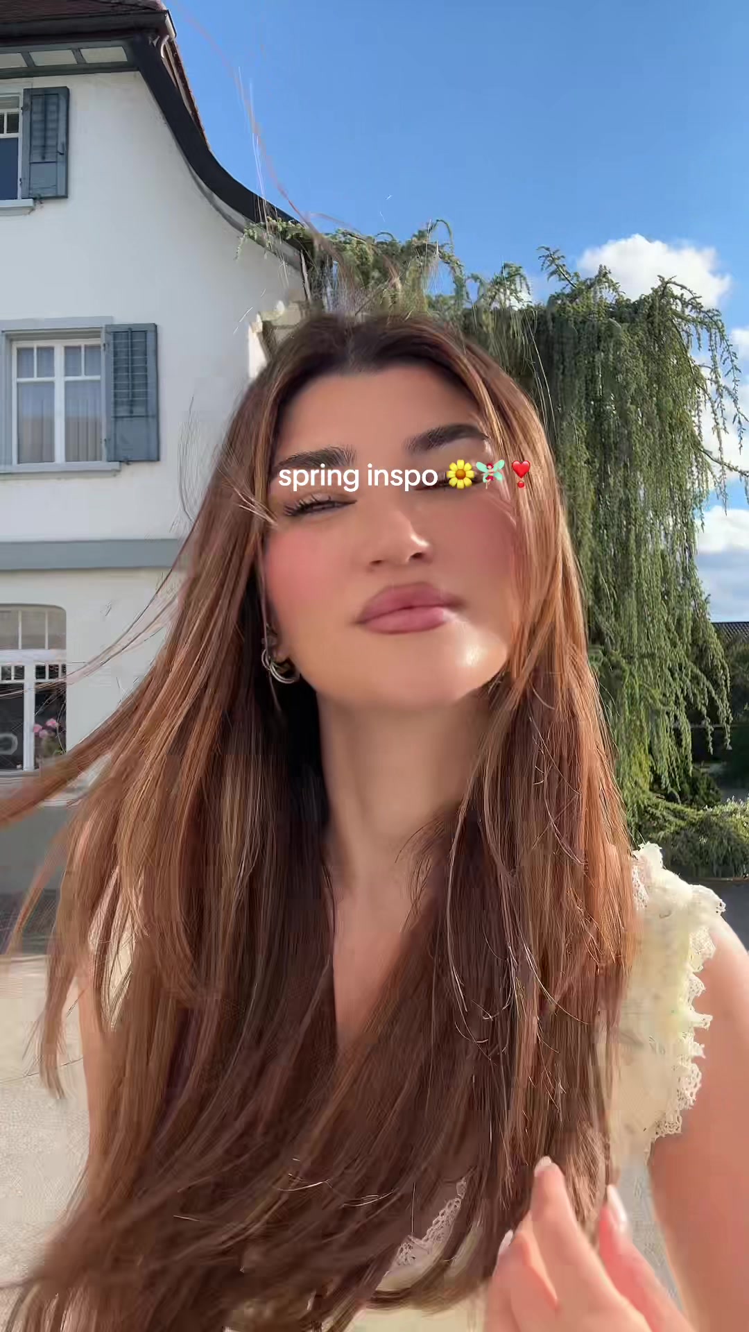 @arigona