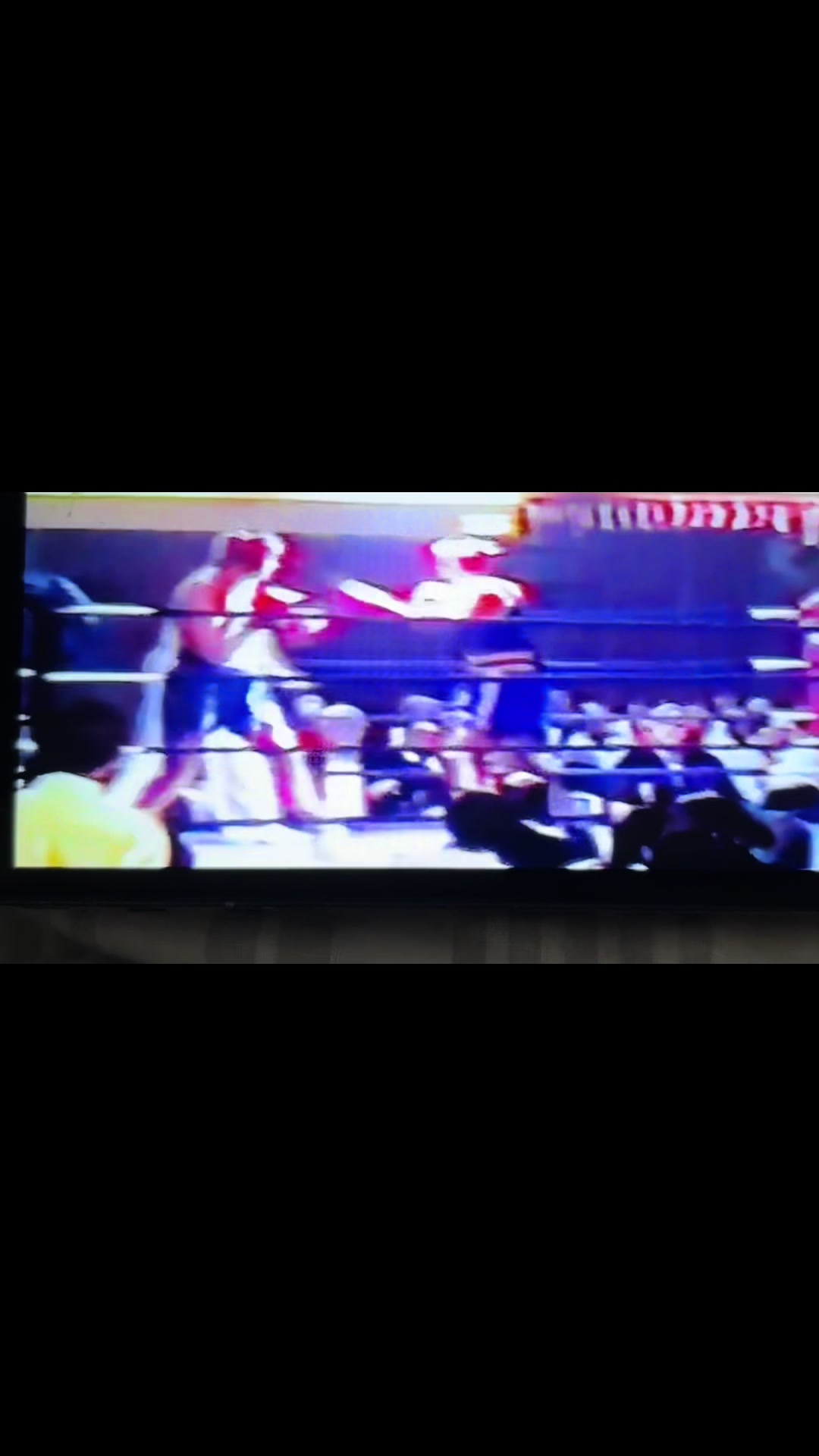 @pinewood Starr boxing club