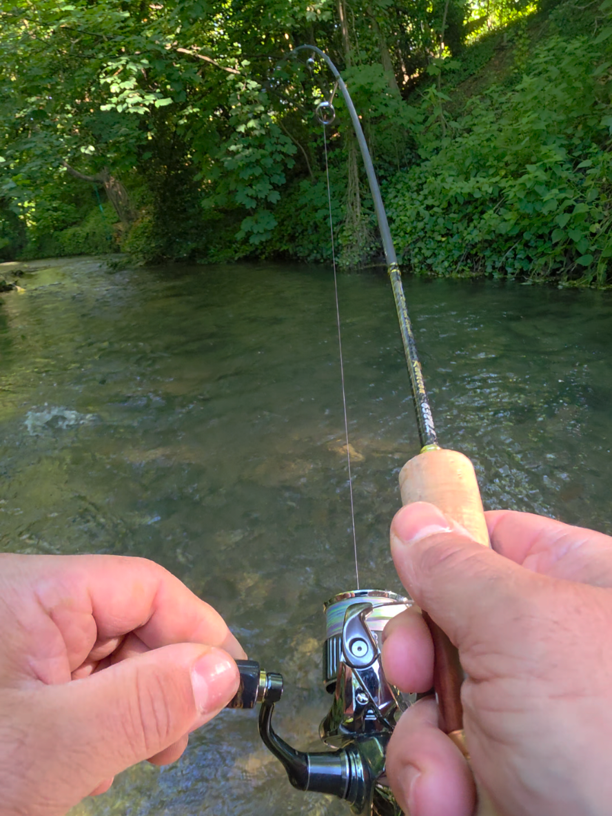 @BF Angler