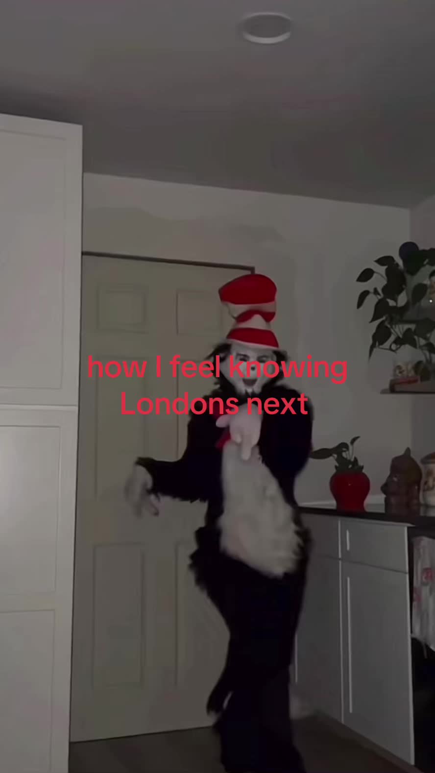 @user29483860368