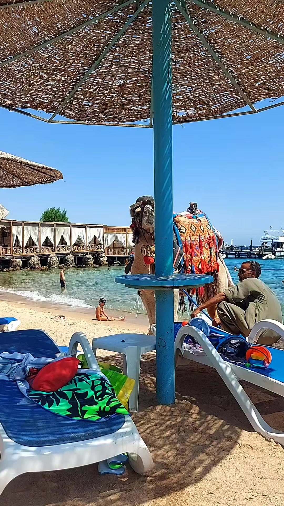 @Denisa &Scaron;arisk&aacute; 🇨🇿&🇪🇬