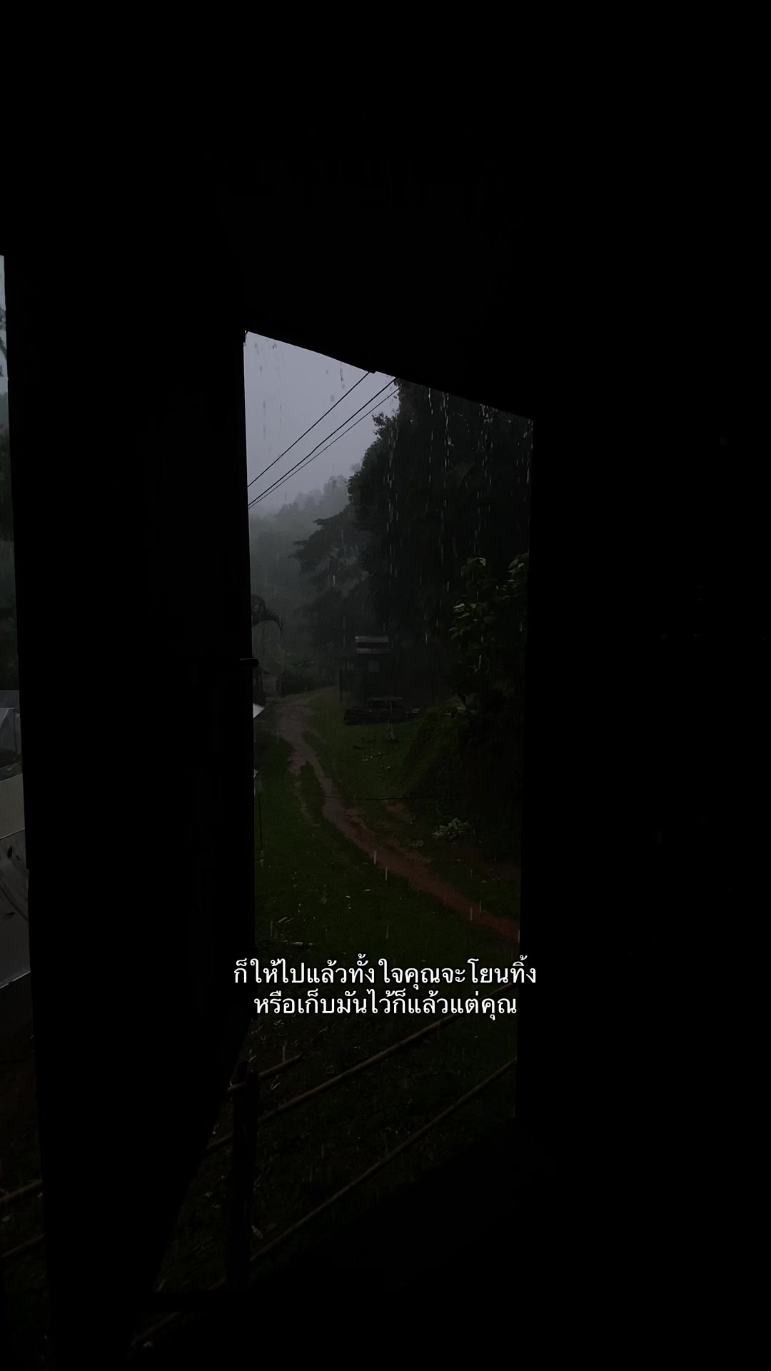 @เธรดของหมีพู🐻(11.7k)