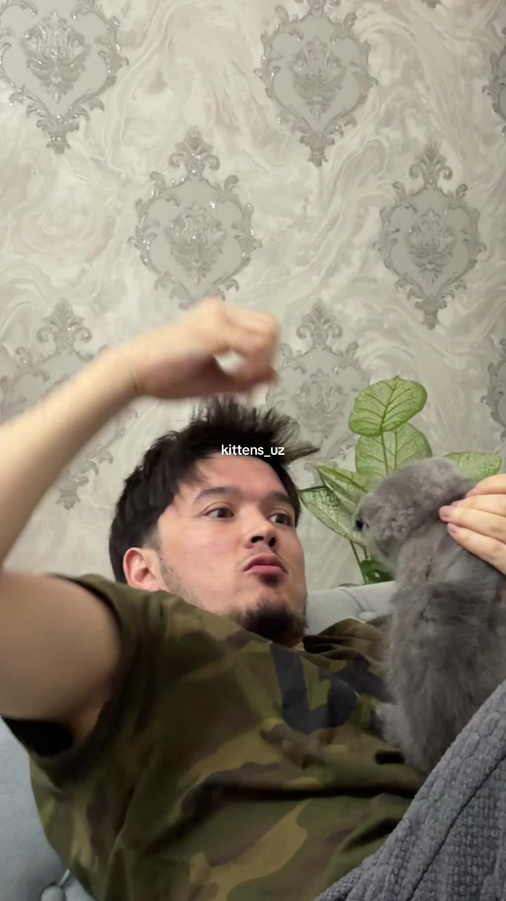 @kittens_uz