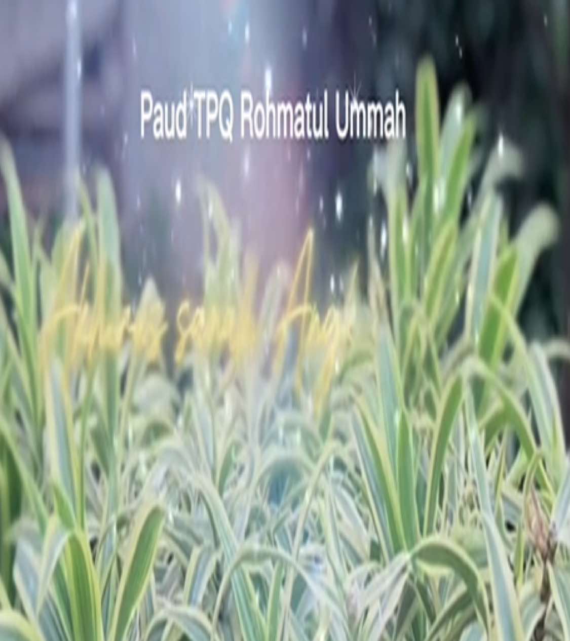 @paud tpq rochmatulummah