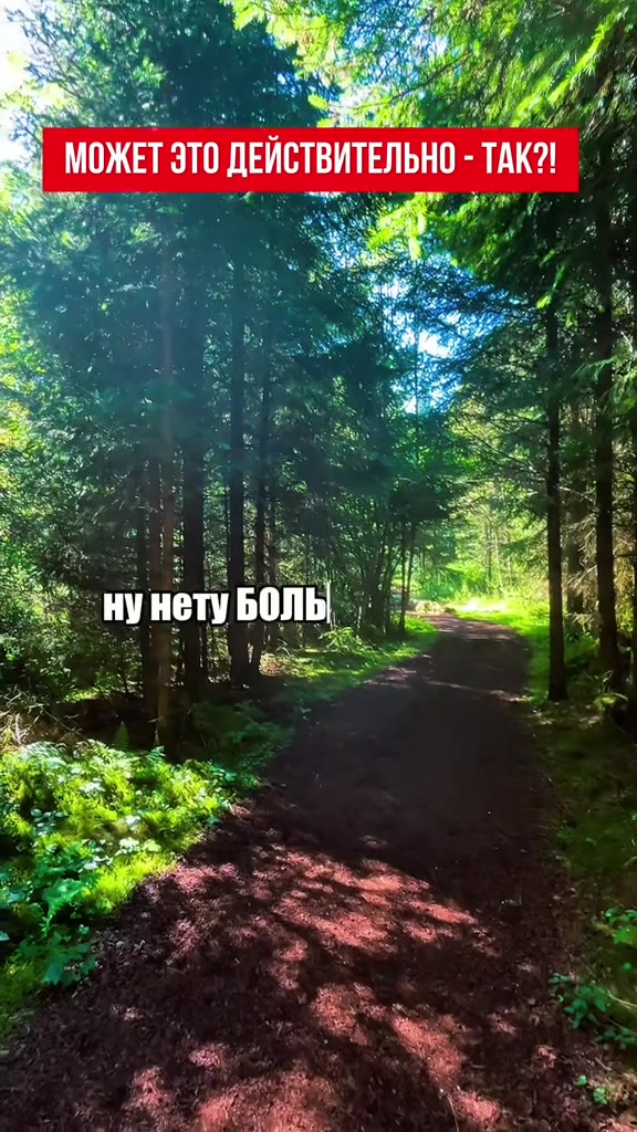 @Snezhana