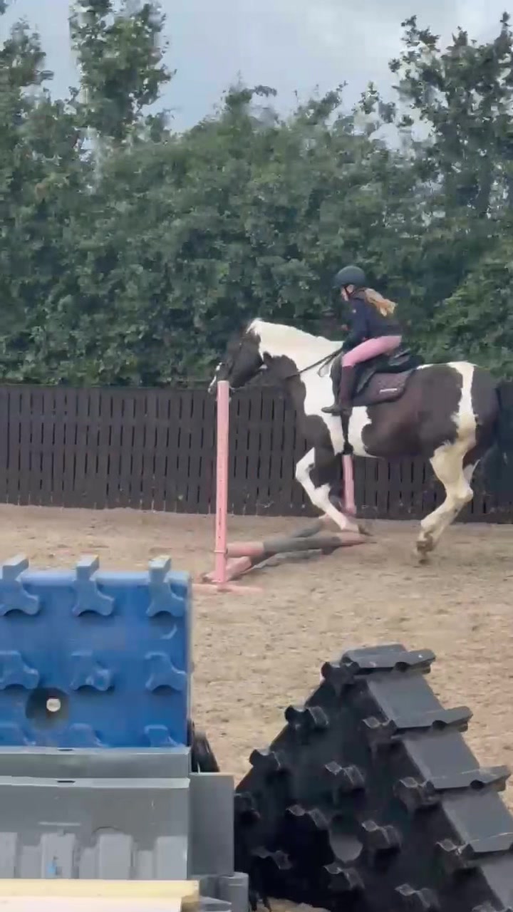 @LottiesHorseAdventures🦄🐴