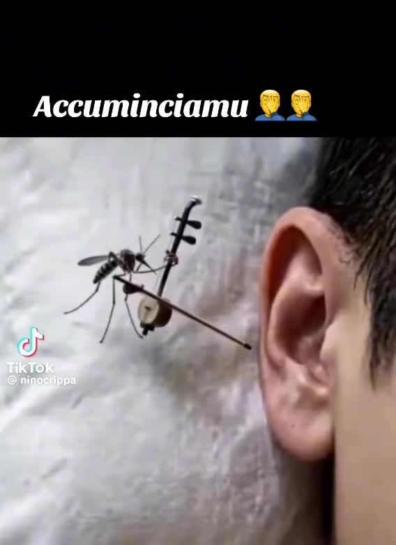 @🇹🇯👮&zwj;♂️🫡 Francy 🫡👮&zwj;♂️🇹🇯