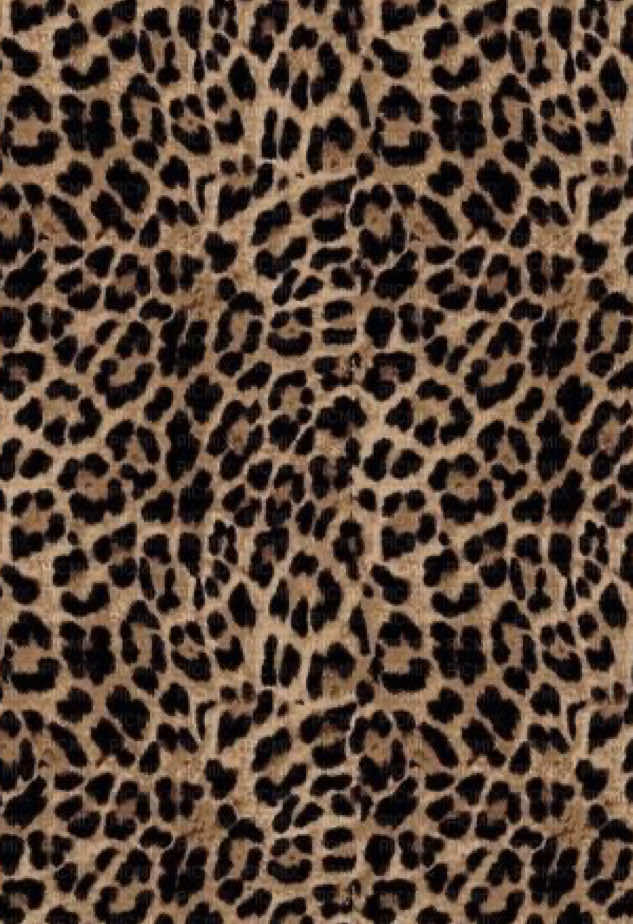@💗࡛ an̄iya̱h⊹ 🐆