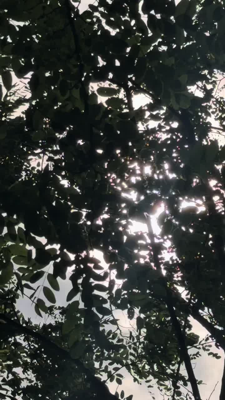 @012_phsantos
