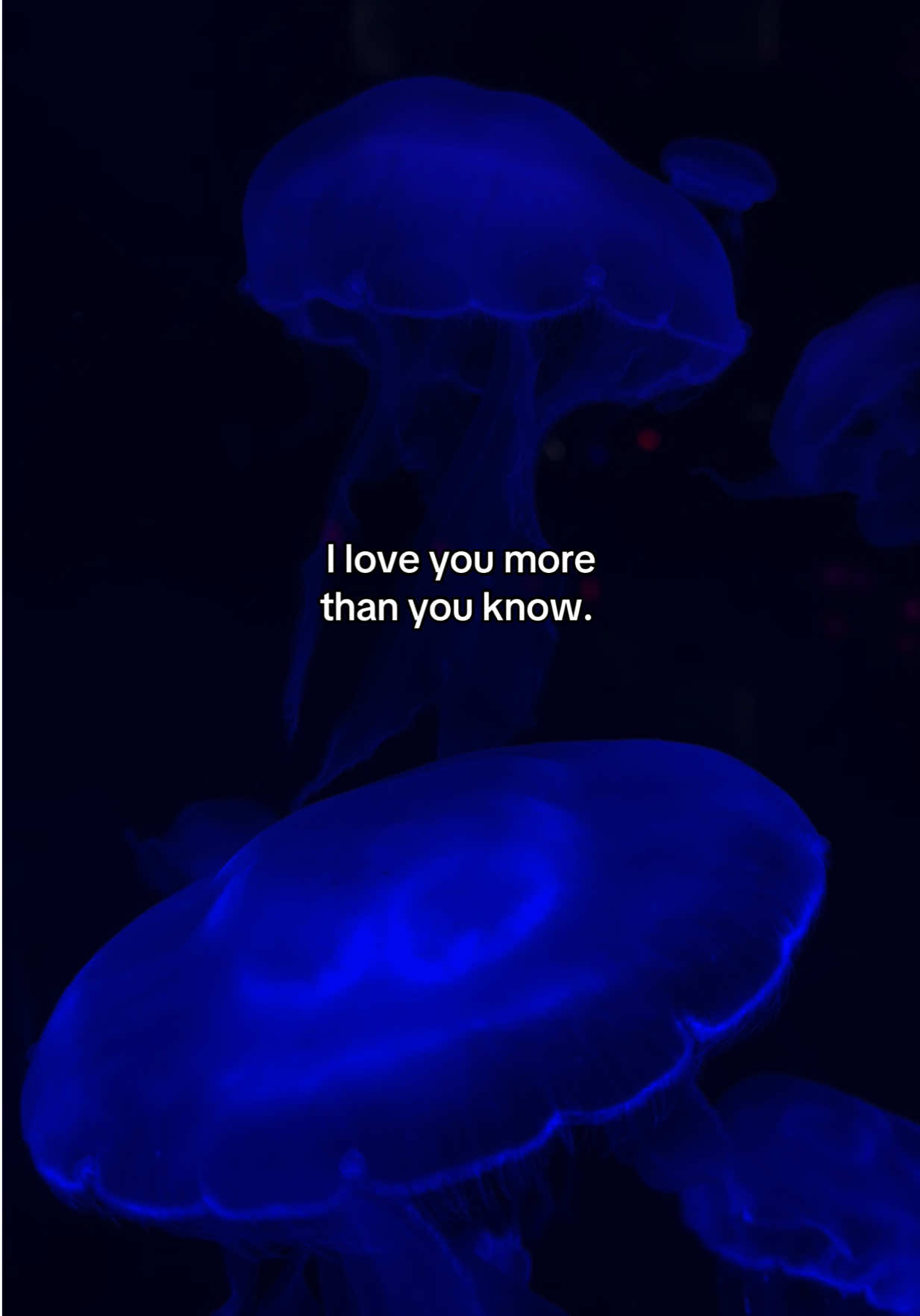 @reel_feels_