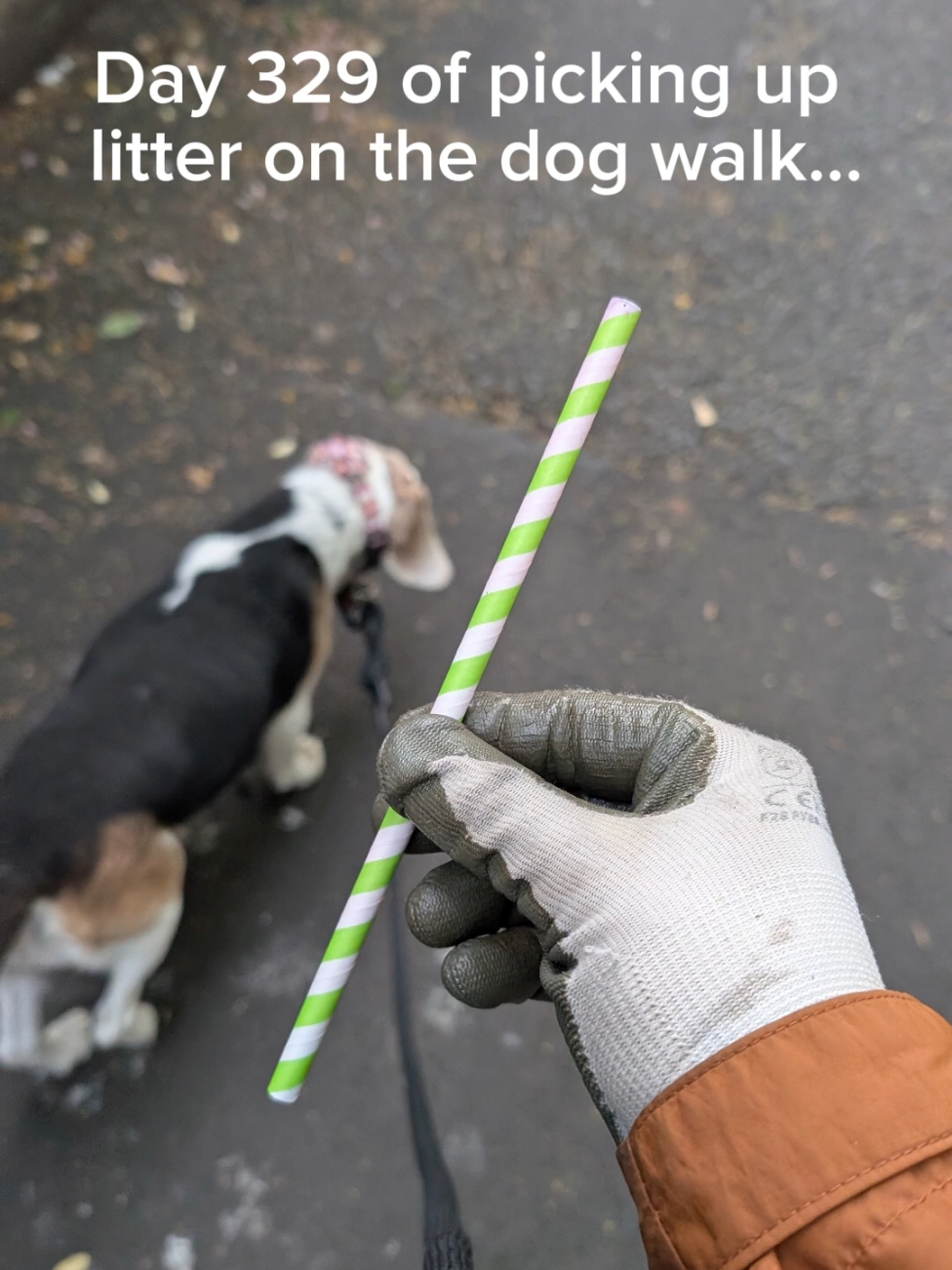 @LitterWalkiesWithRu