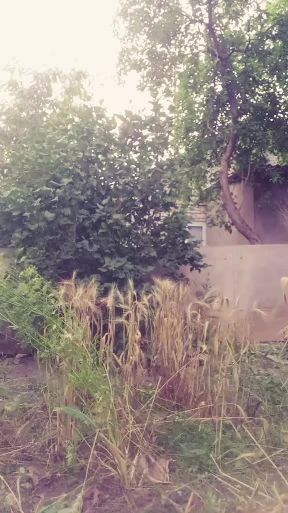 @котейка