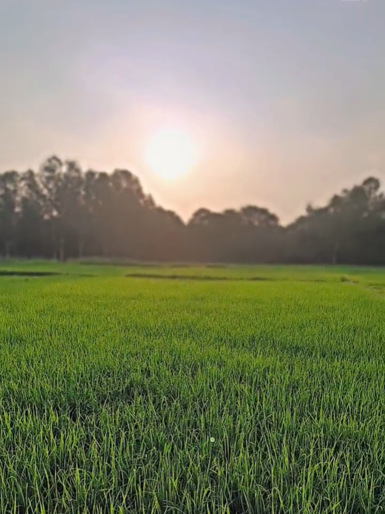 @🚩श्री राम जी के भक्त 🚩