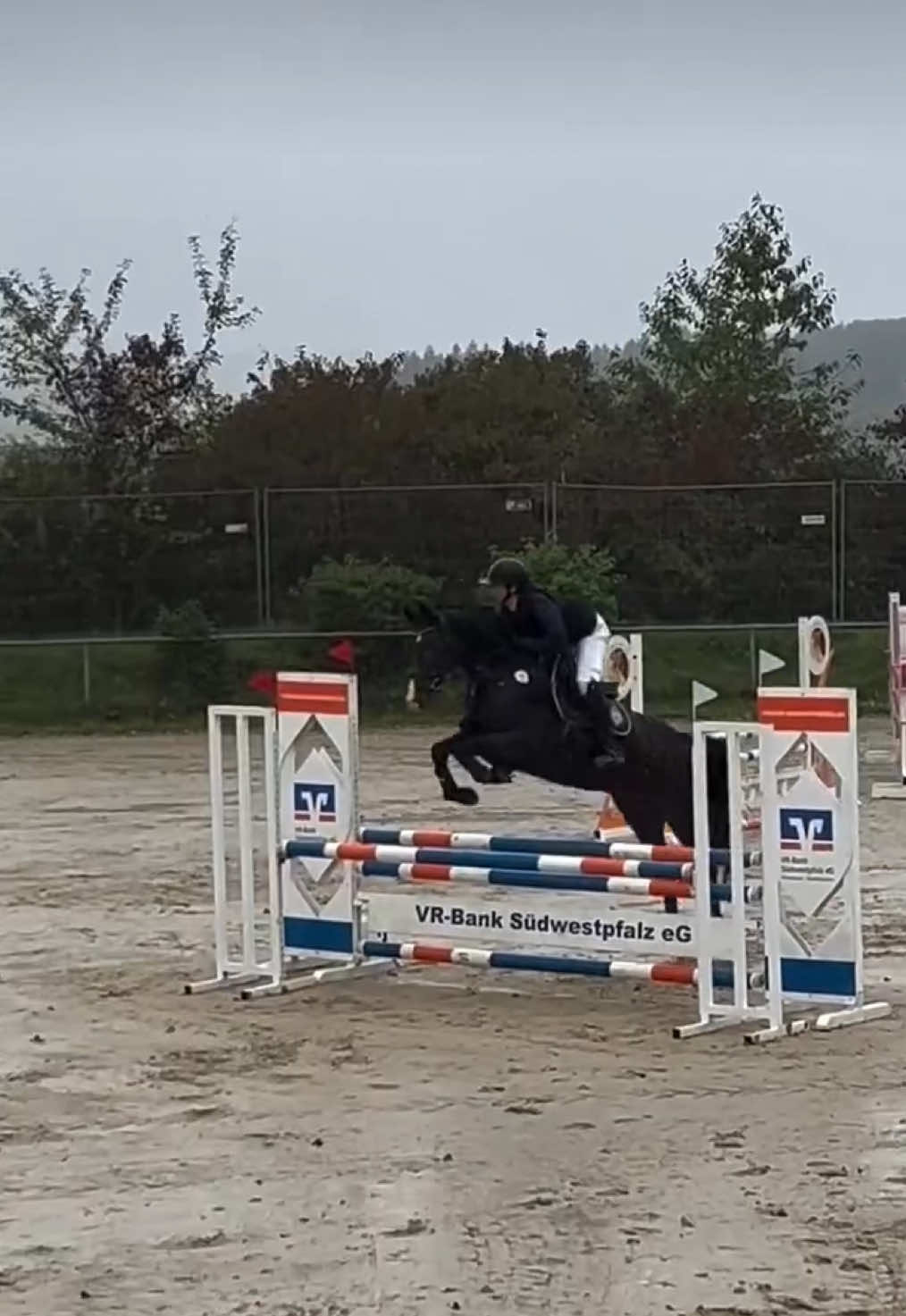 @Marlay Demmerle