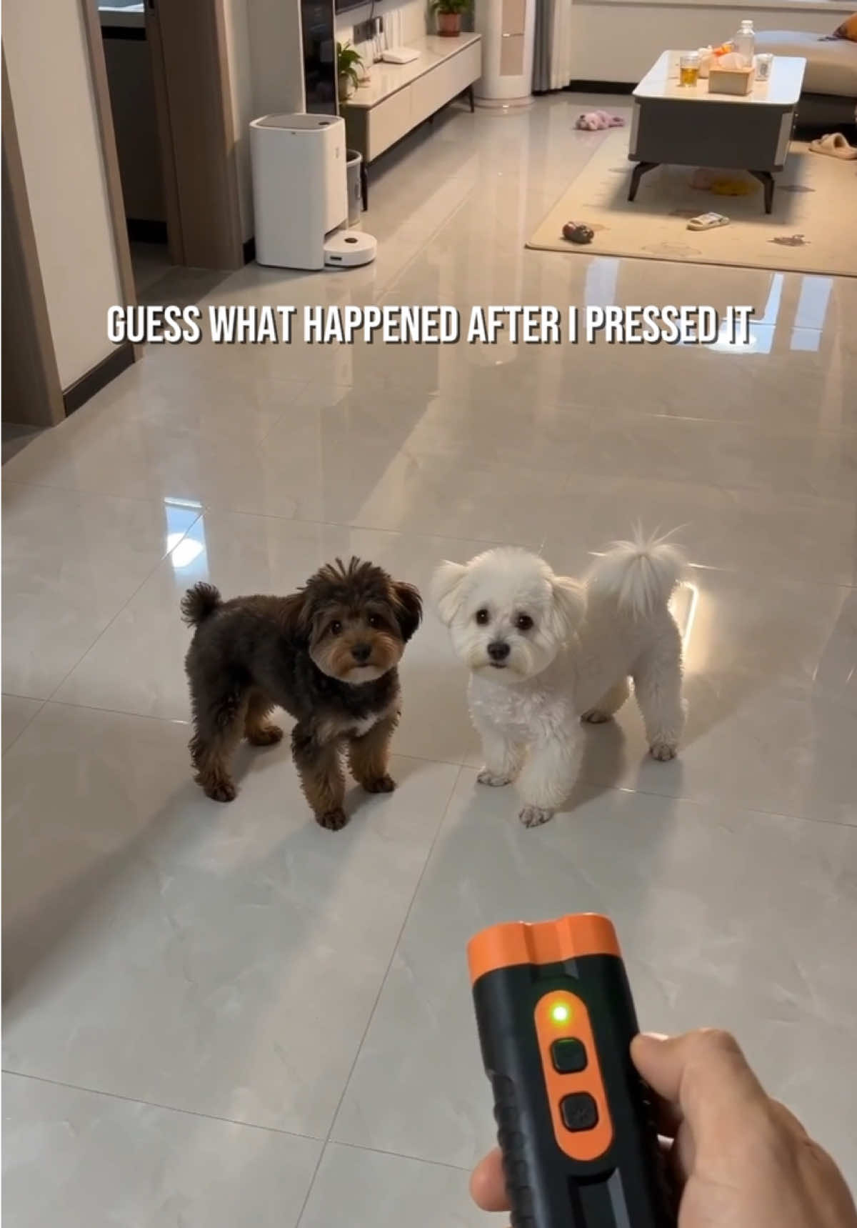 @pawpawchum
