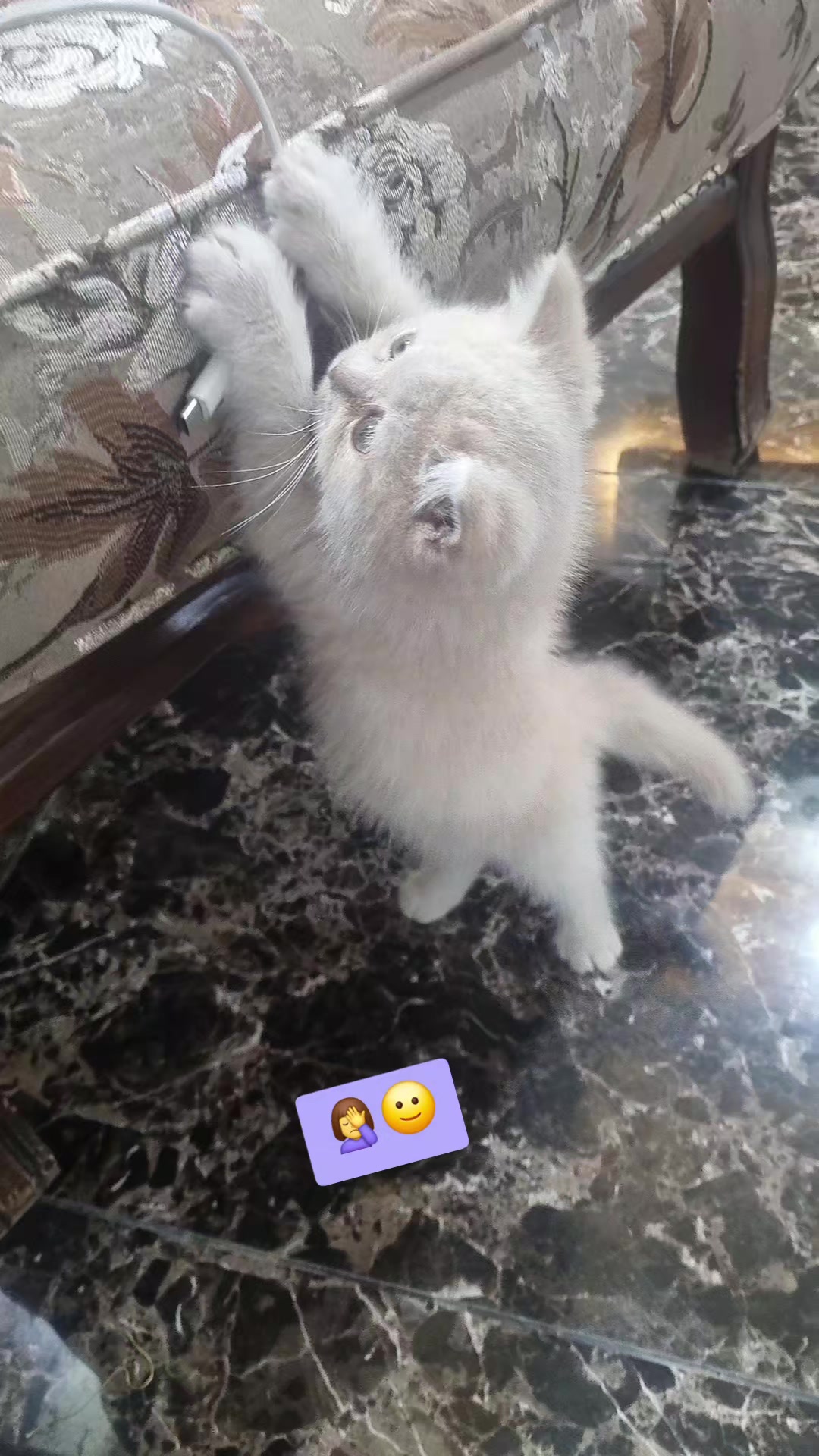 @Sara Qundil