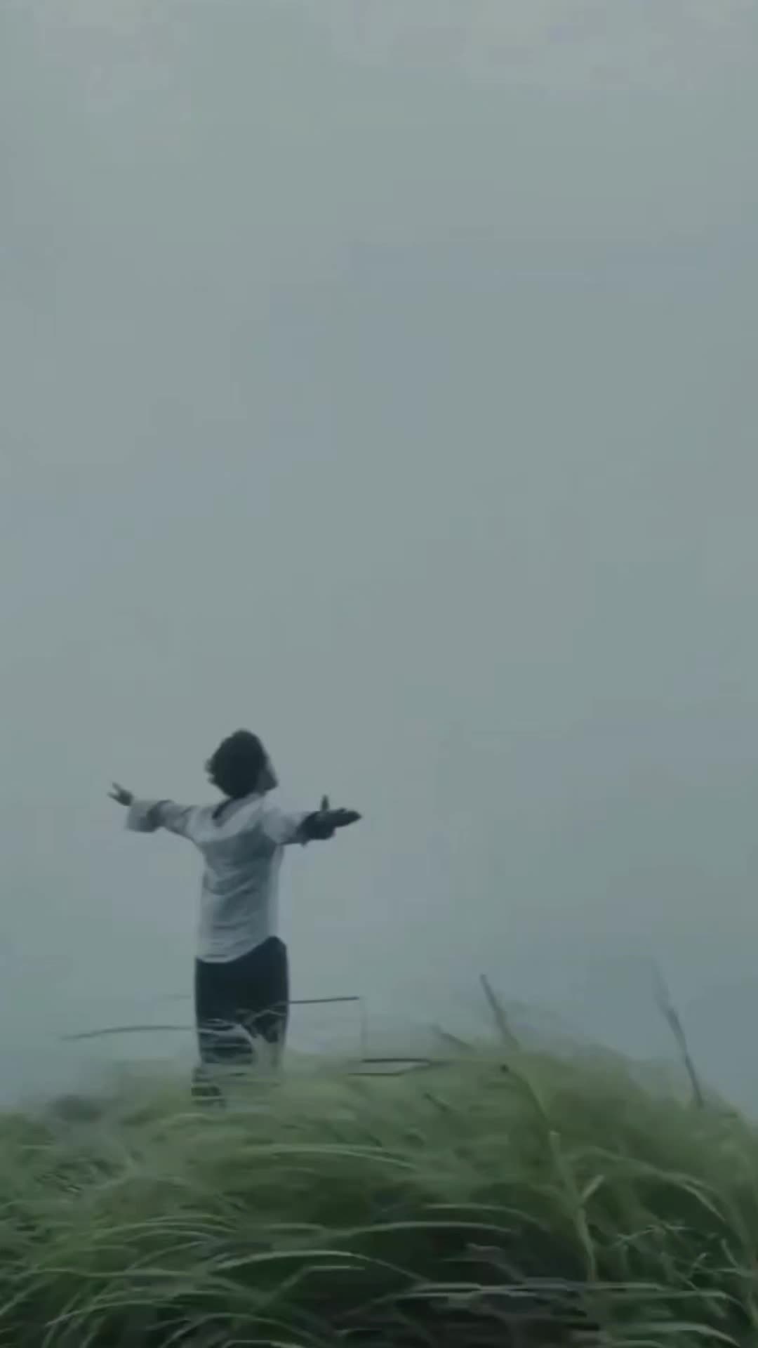 @Fernanda Matos