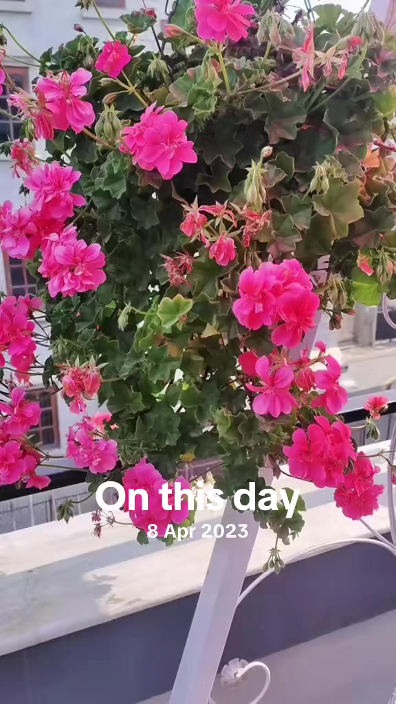 @Anu