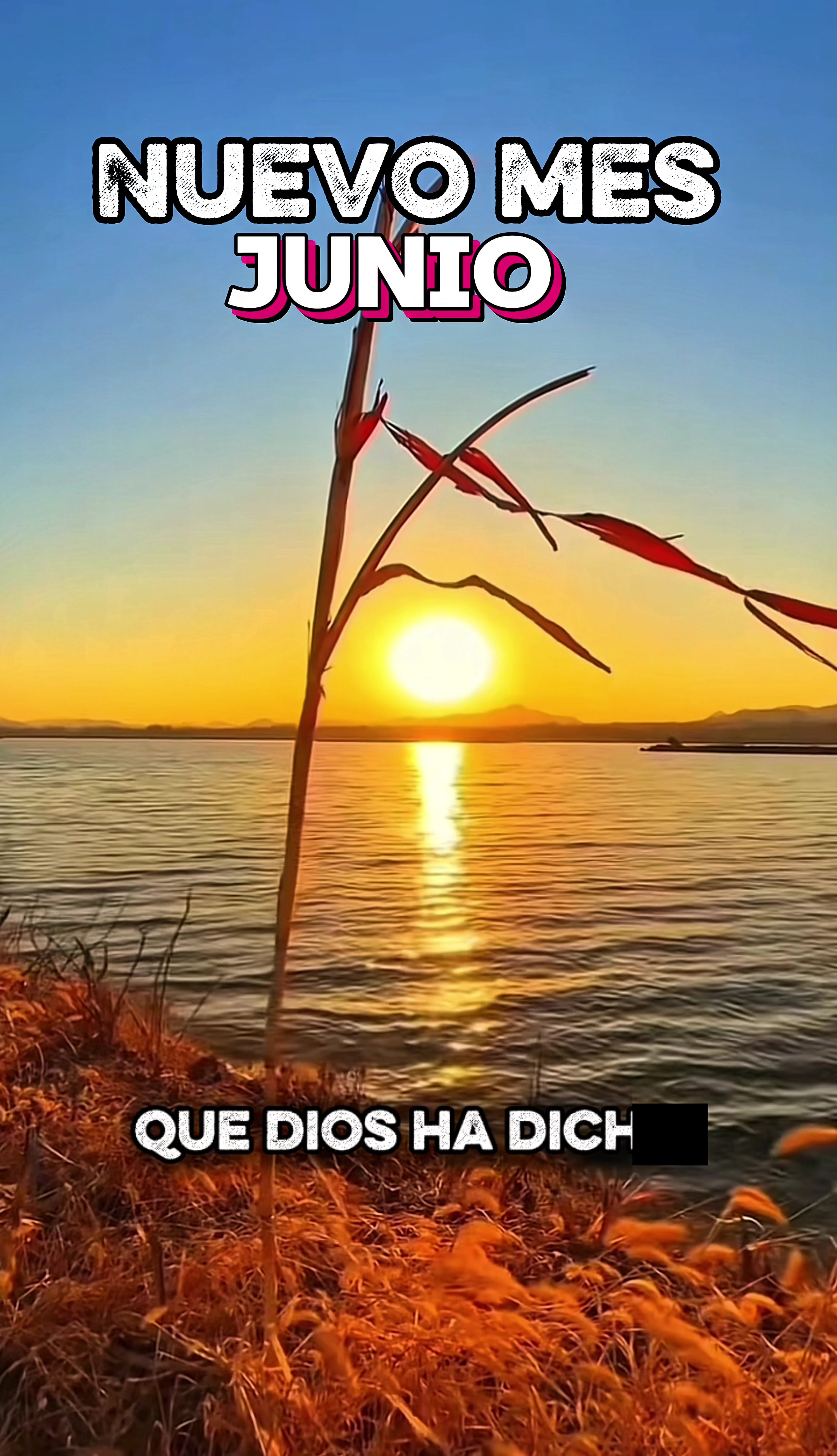 @M&uacute;sica del Cielo