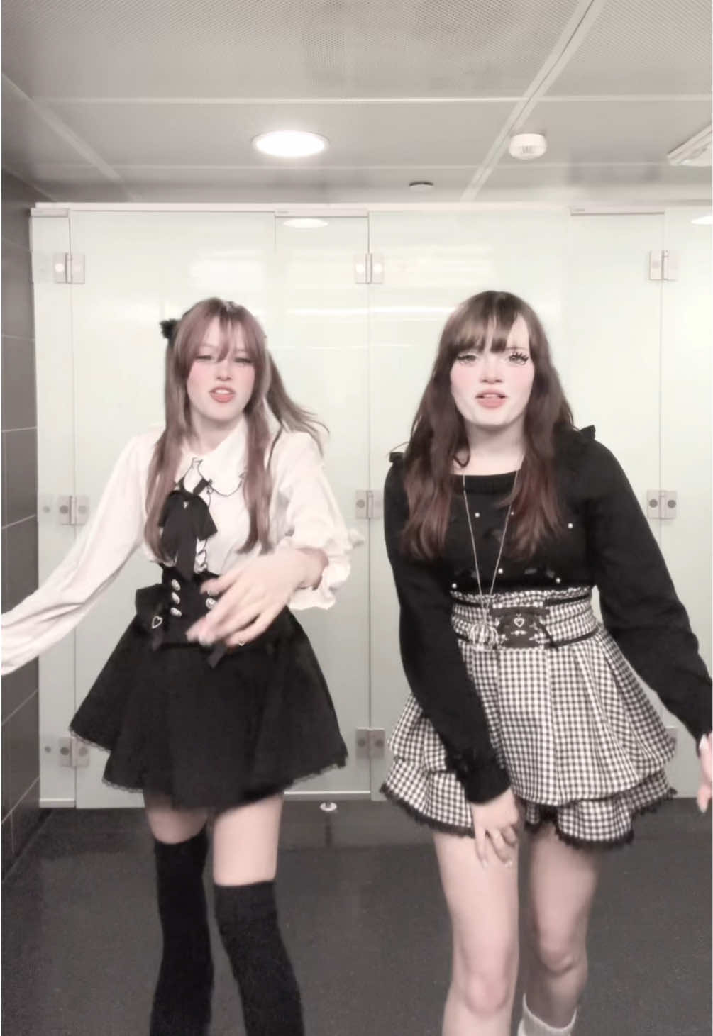 @vivz★彡