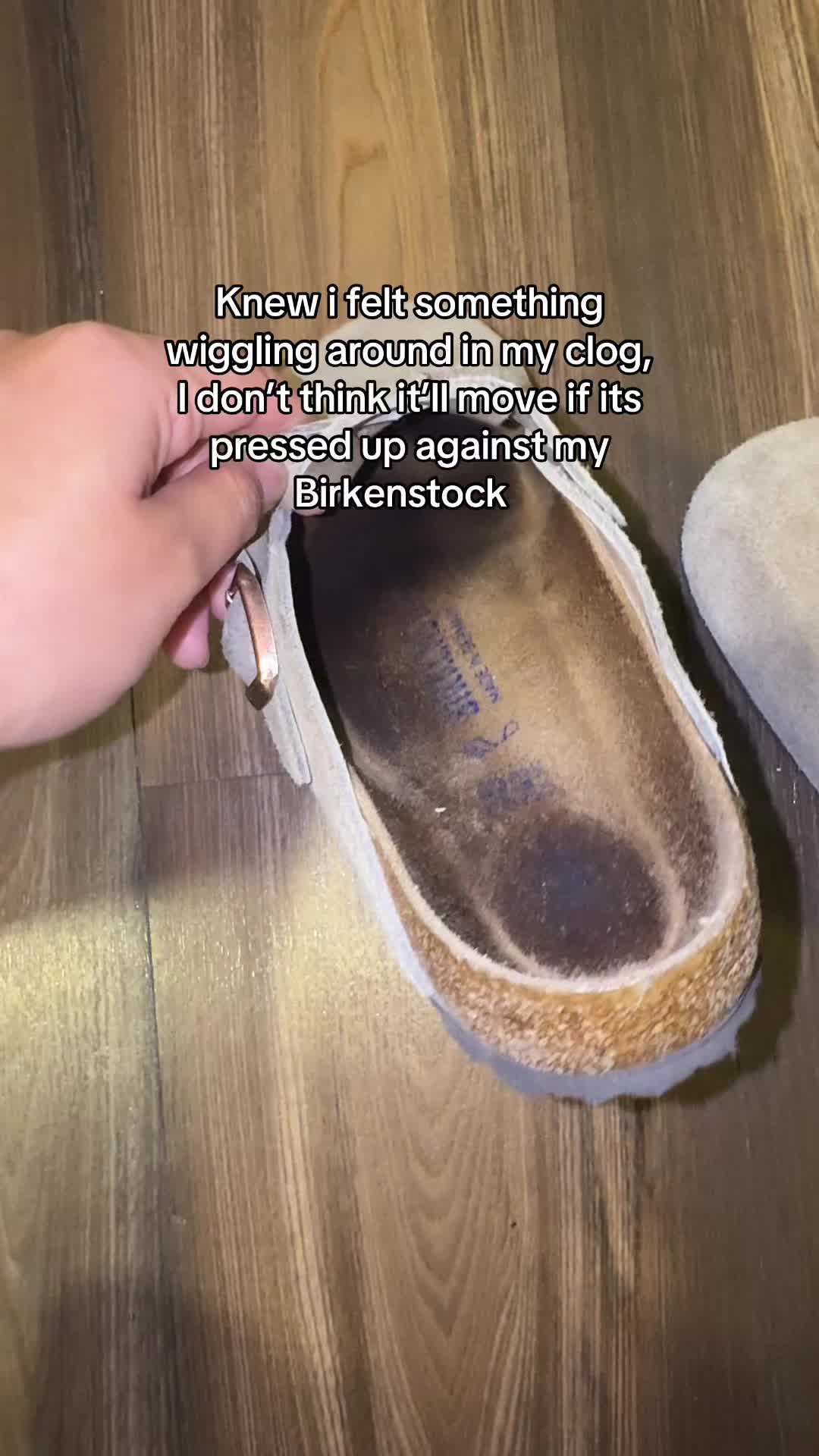 @GiantessMommy