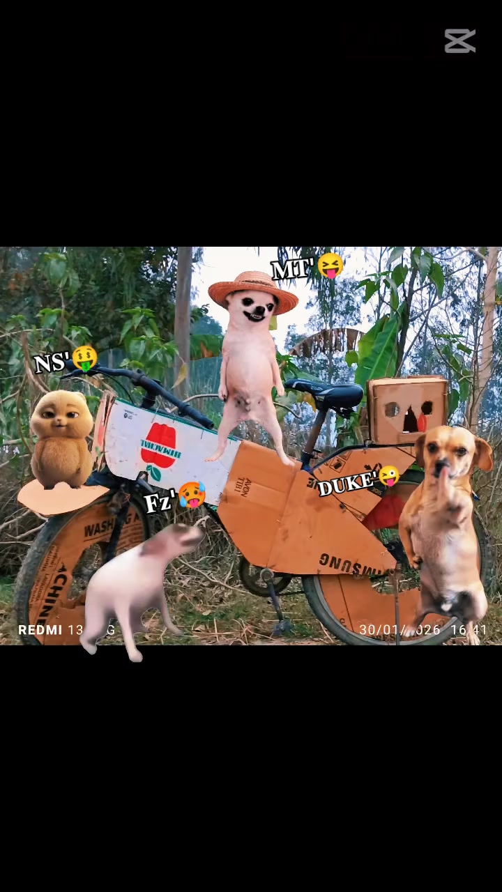 @๐๐๐๐ข ๐๐ก๐๐ข