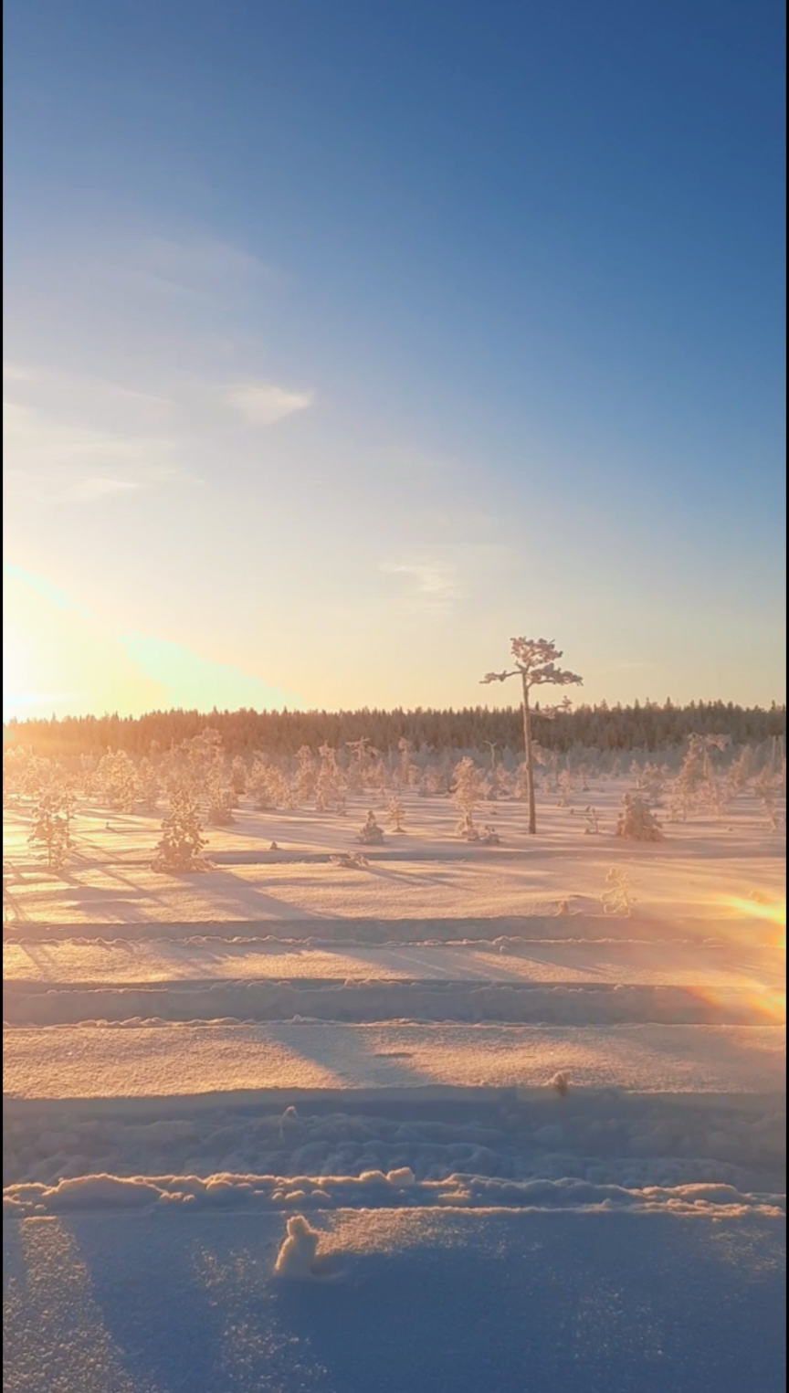 @mikko82