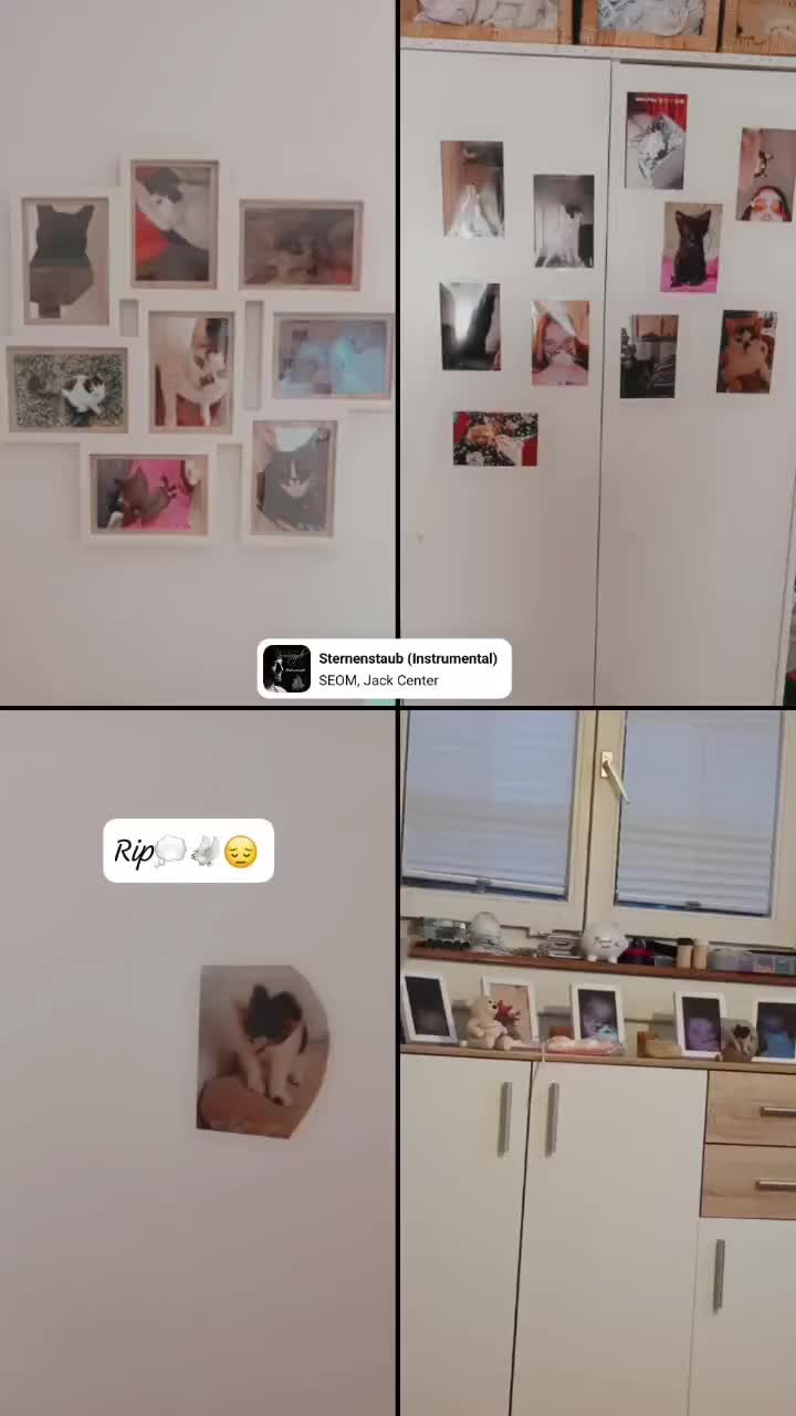 @20.4.2025_ P🕊️🐈&zwj;⬛💭