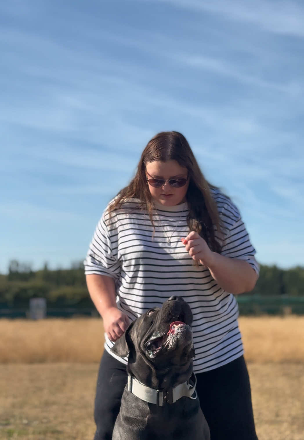 @murphy_the_cane_corso
