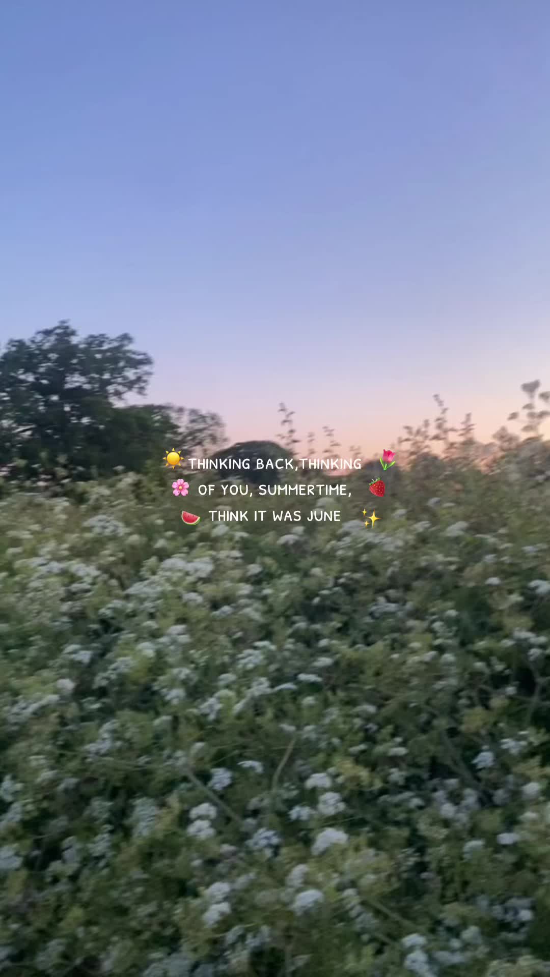 @cerys🤍