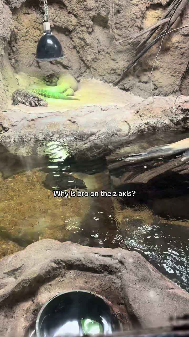 @wren🦈🦖