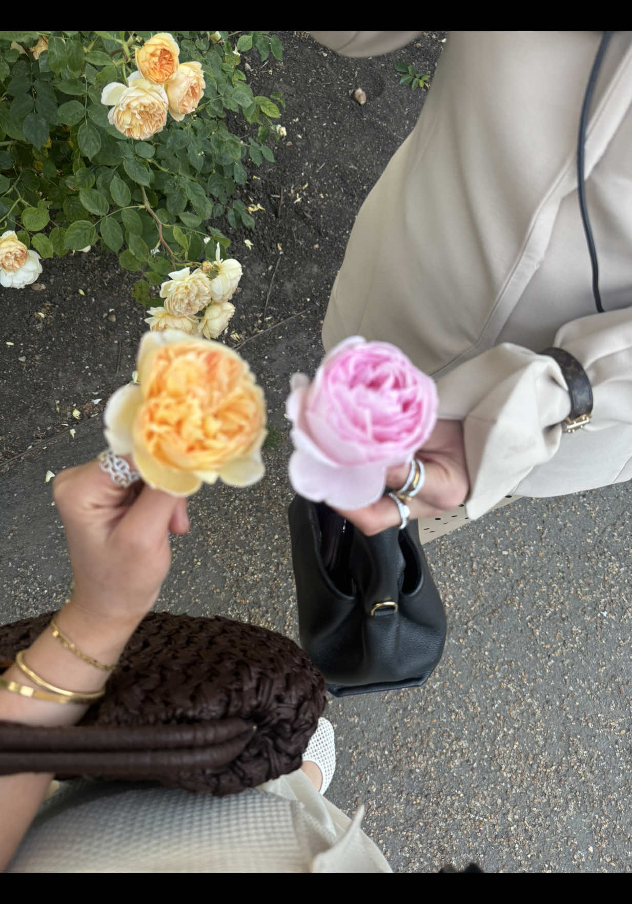 @mery🧚♀️