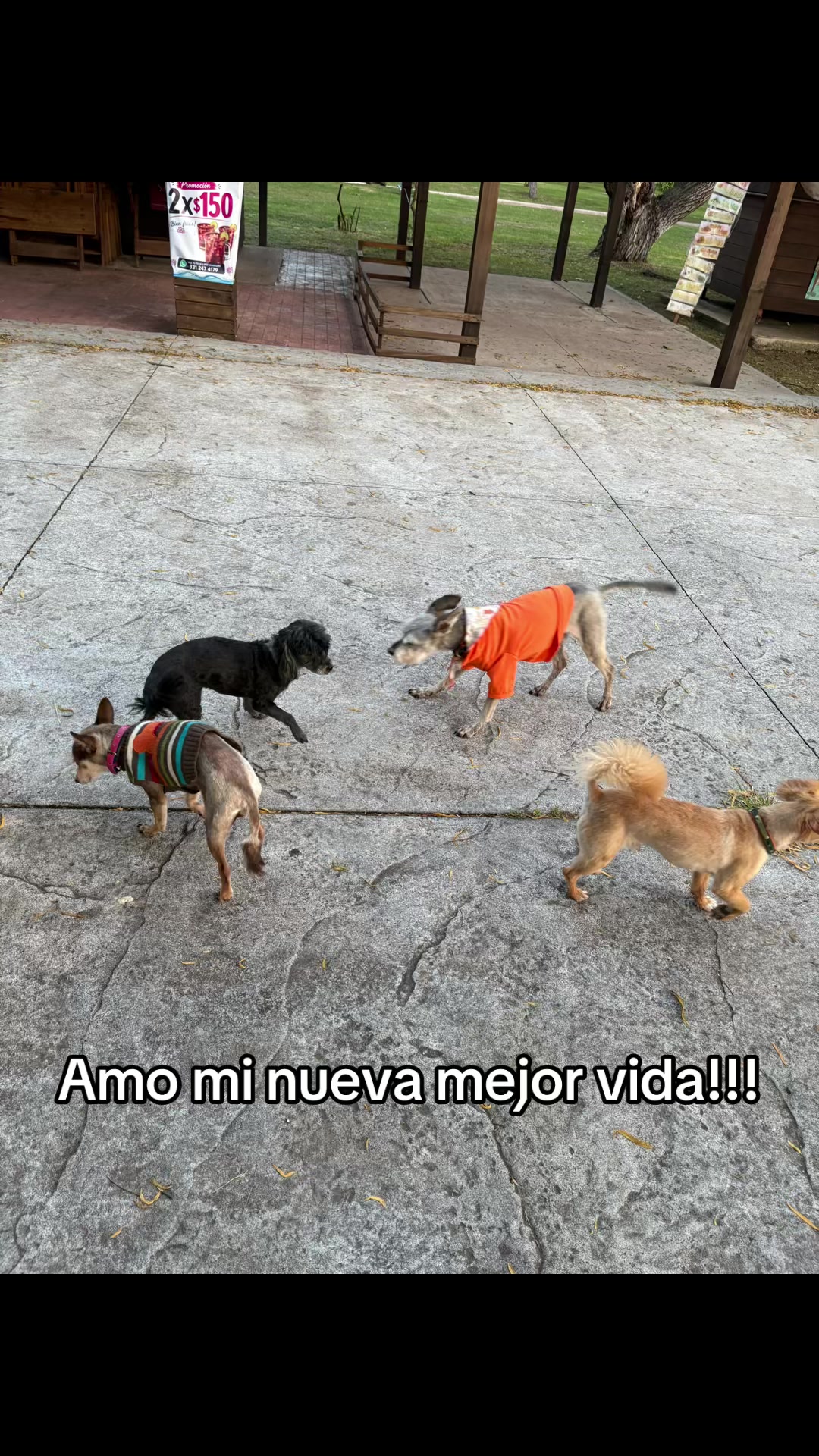 @Patricia Ruiz