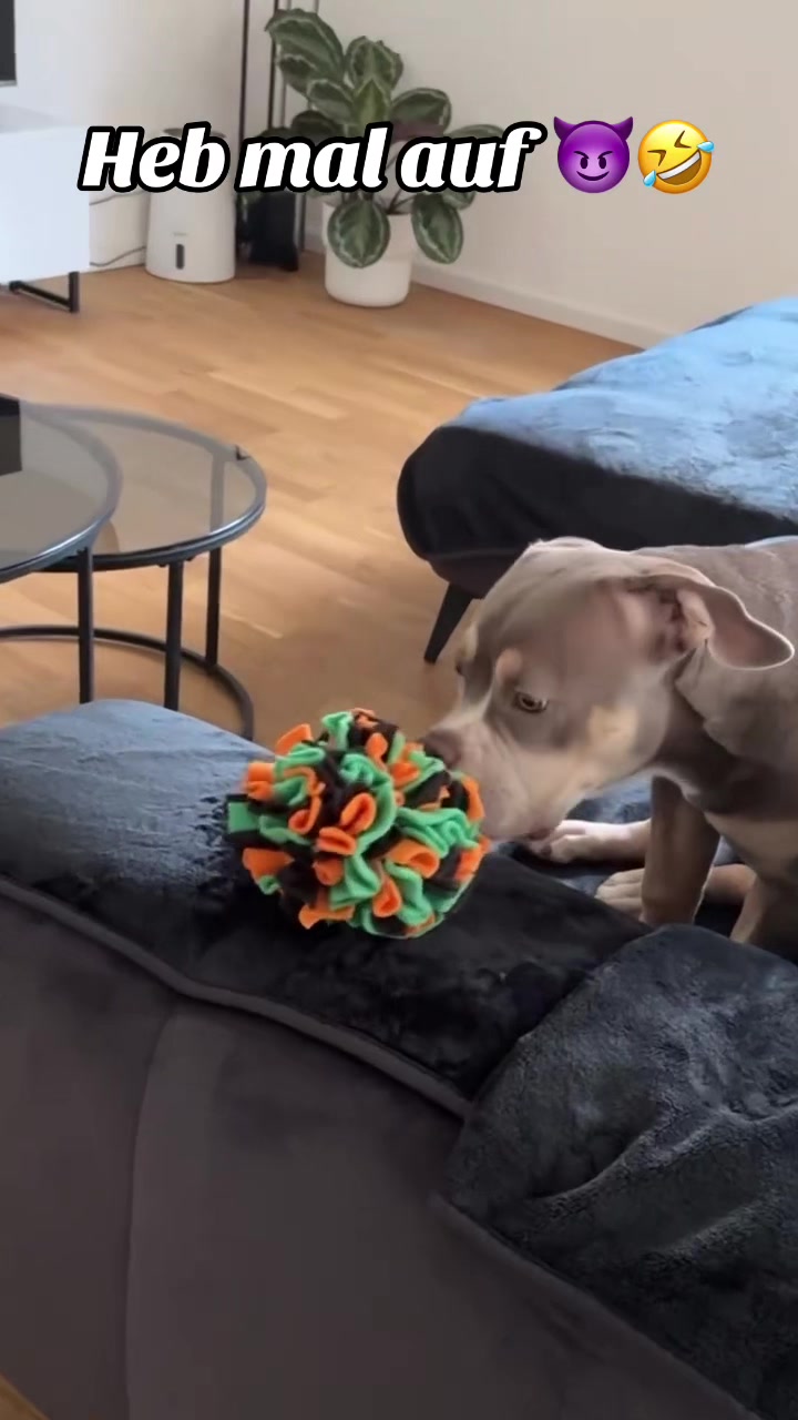 @Milly 🐶🥰