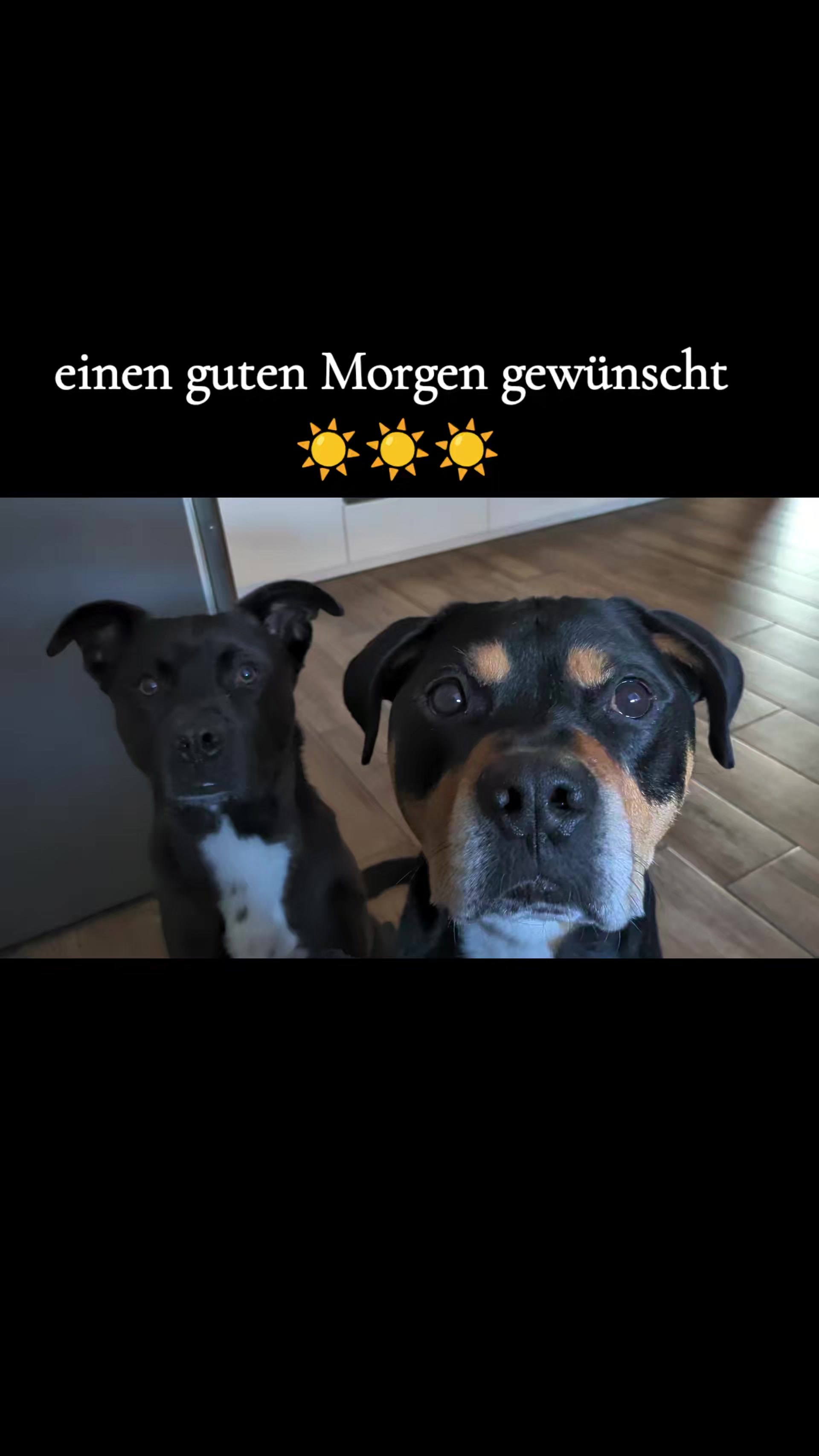 @DerJokerUndSeineFreunde